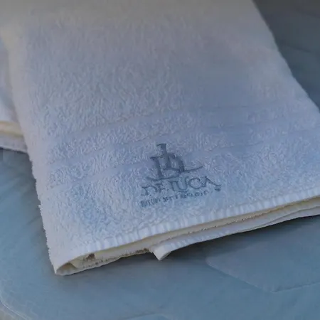 Dl Luxury Pensión